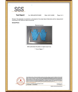 SGS Test Report EN 455-1/EN 455-2