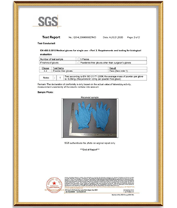SGS Test Report EN 455-3